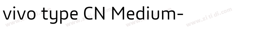 vivo type CN Medium字体转换 vivo type CN Medium字体转换